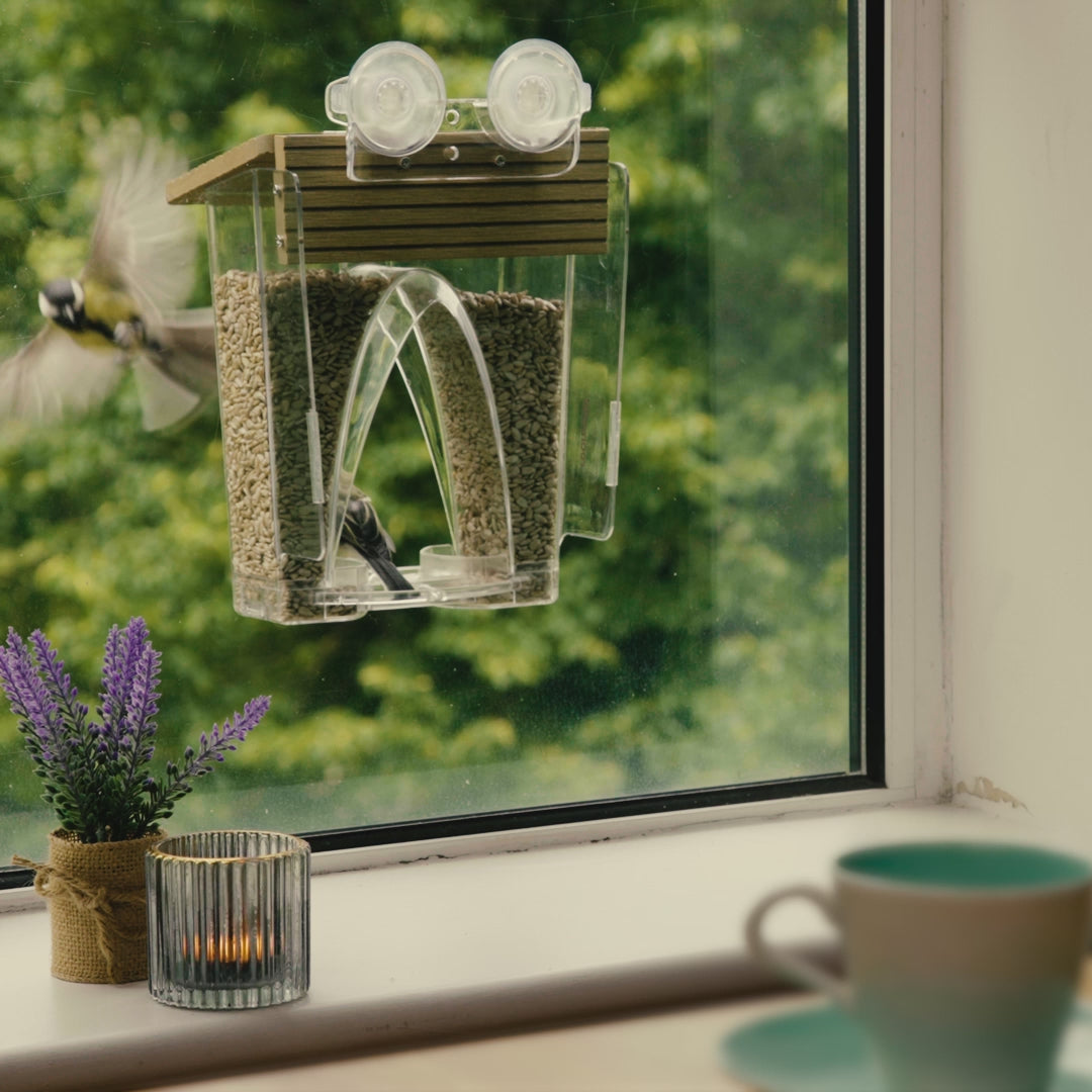 Video laden: Roamwild Bogenfenster-Vogelfutterhaus