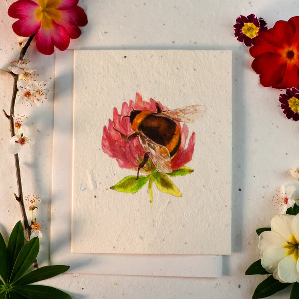 Plantable Seeded Greeting Cards