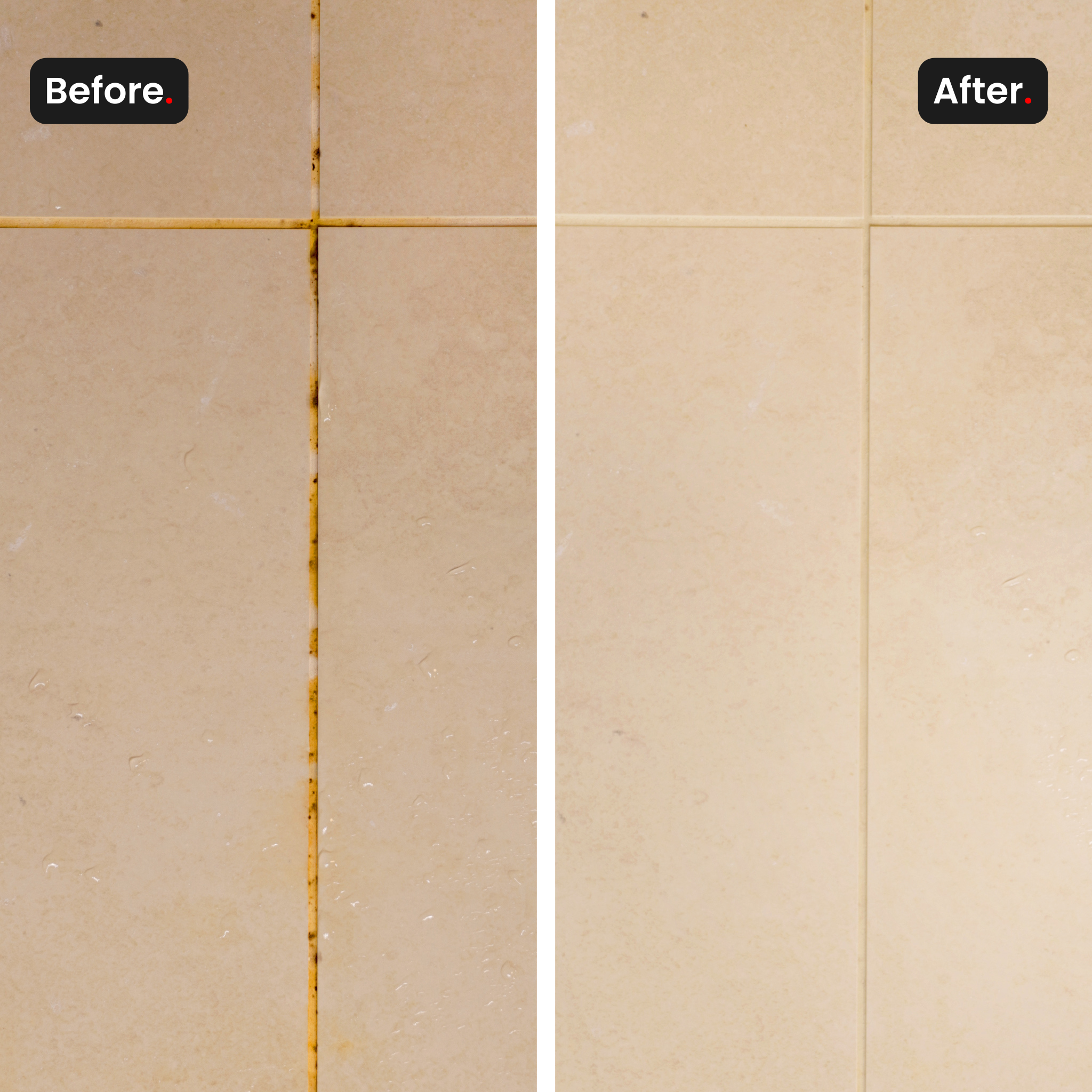 Roamwild Jaffa | Natuurlijke vlekverwijderaar voor thuis