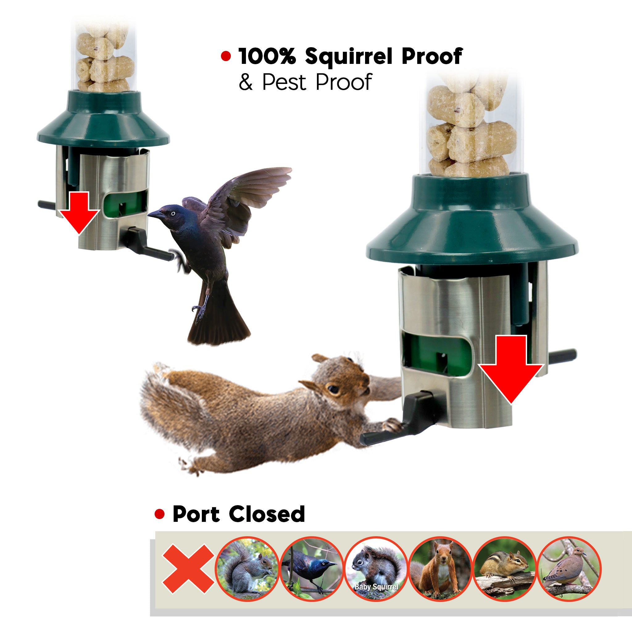 Roamwild PestOff Bird Feeder For Suet Nuggets/Fat Balls