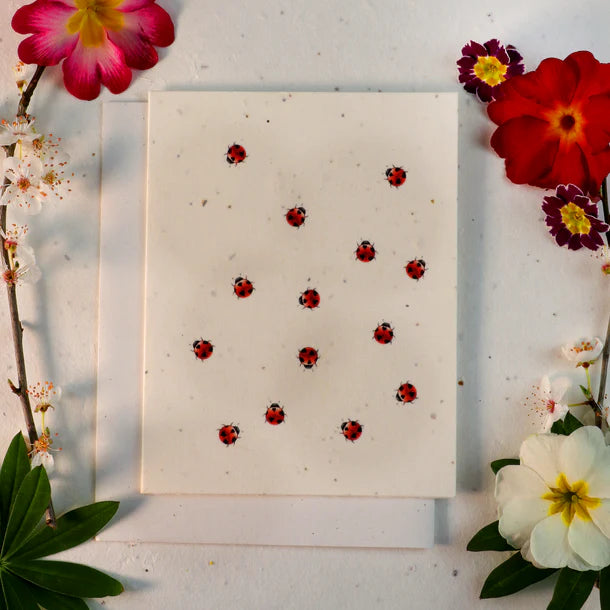 Plantable Seeded Greeting Cards