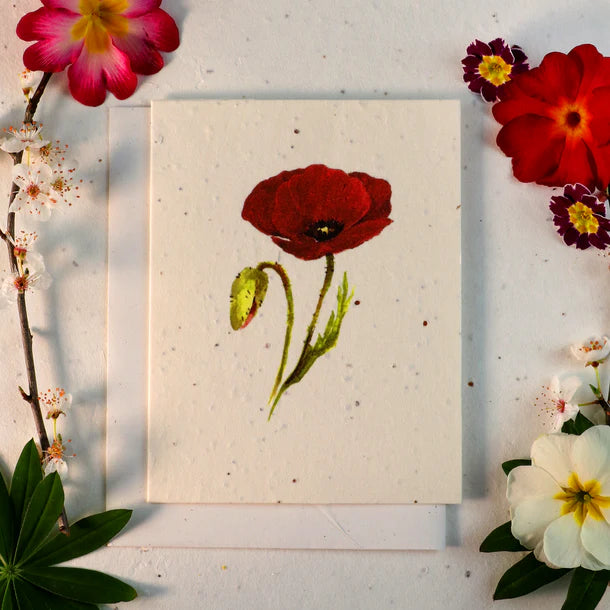 Plantable Seeded Greeting Cards