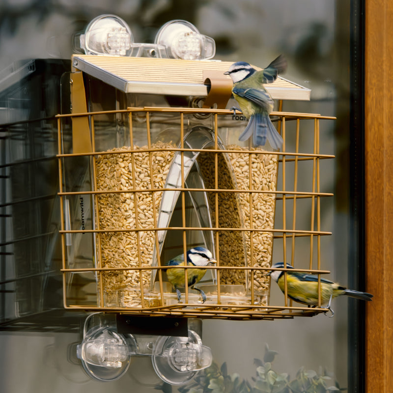 Arch Window Feeder: Squirrel Proof Cage Accessory