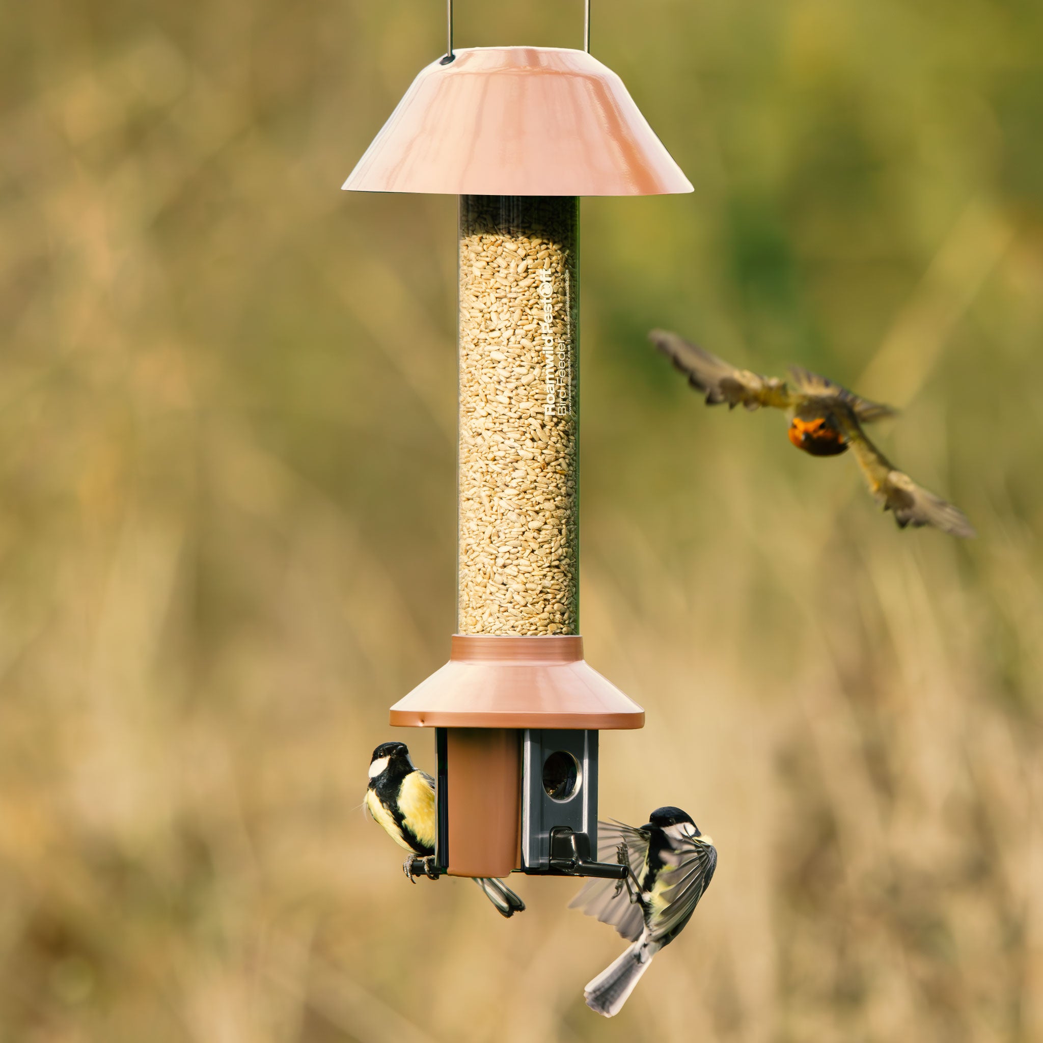 Roamwild PestOff Eekhoornbestendige Voederbak voor Vogels - Compact