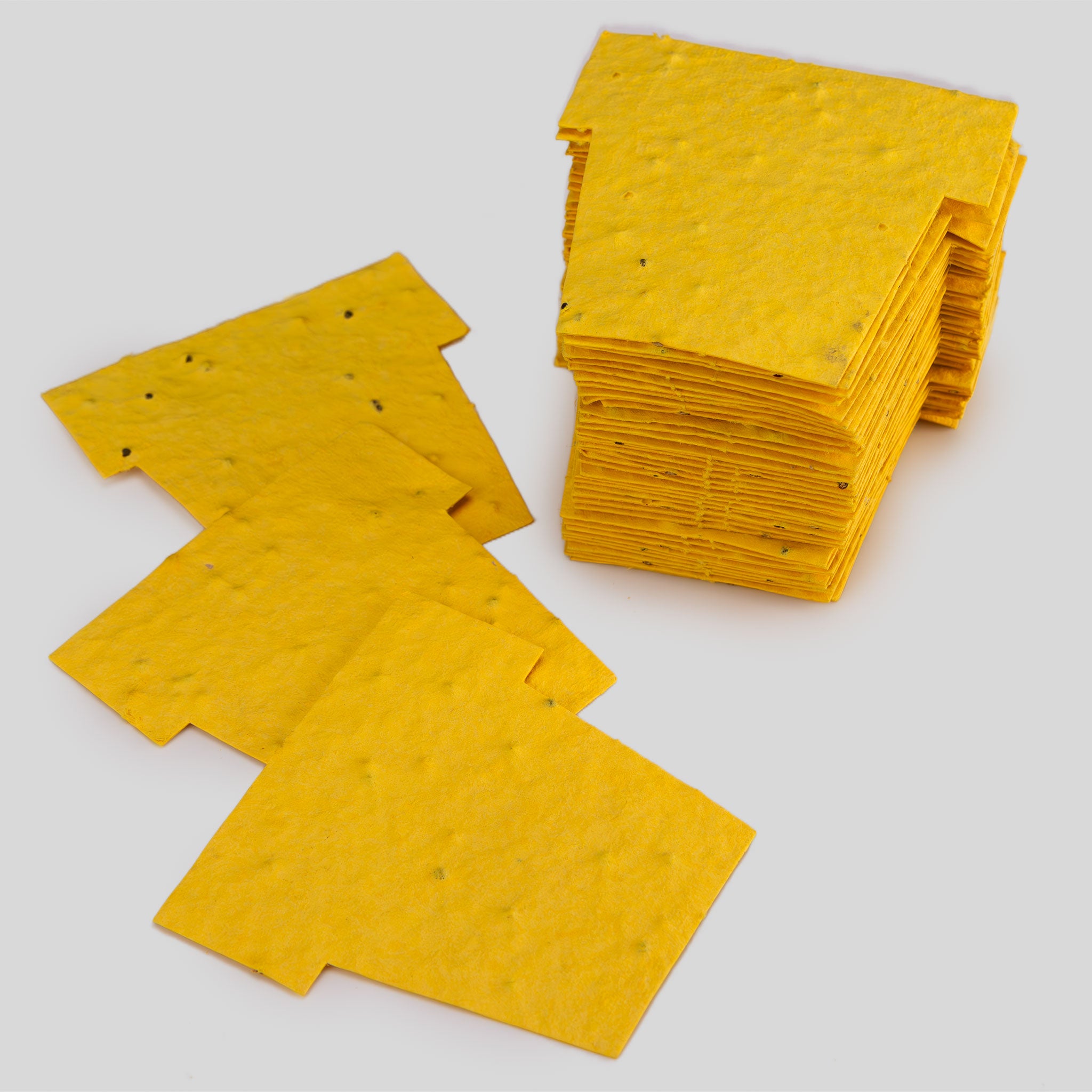 Roamwild Seeded Paper Shapes - Pack Of 50 (Yellow Pot)