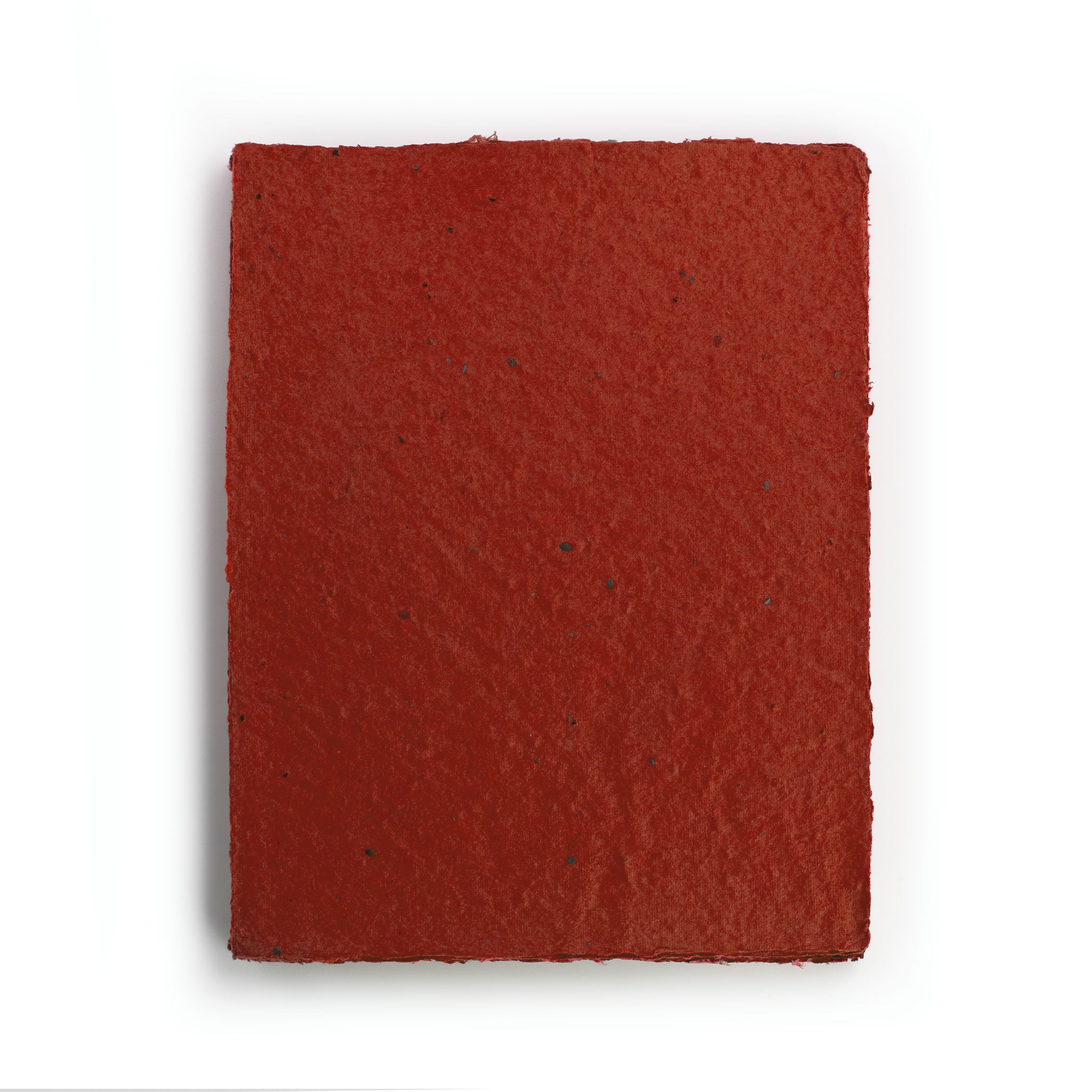 Roamwild Seeded Paper: WW1 Aviation Heritage Trust Special Edition