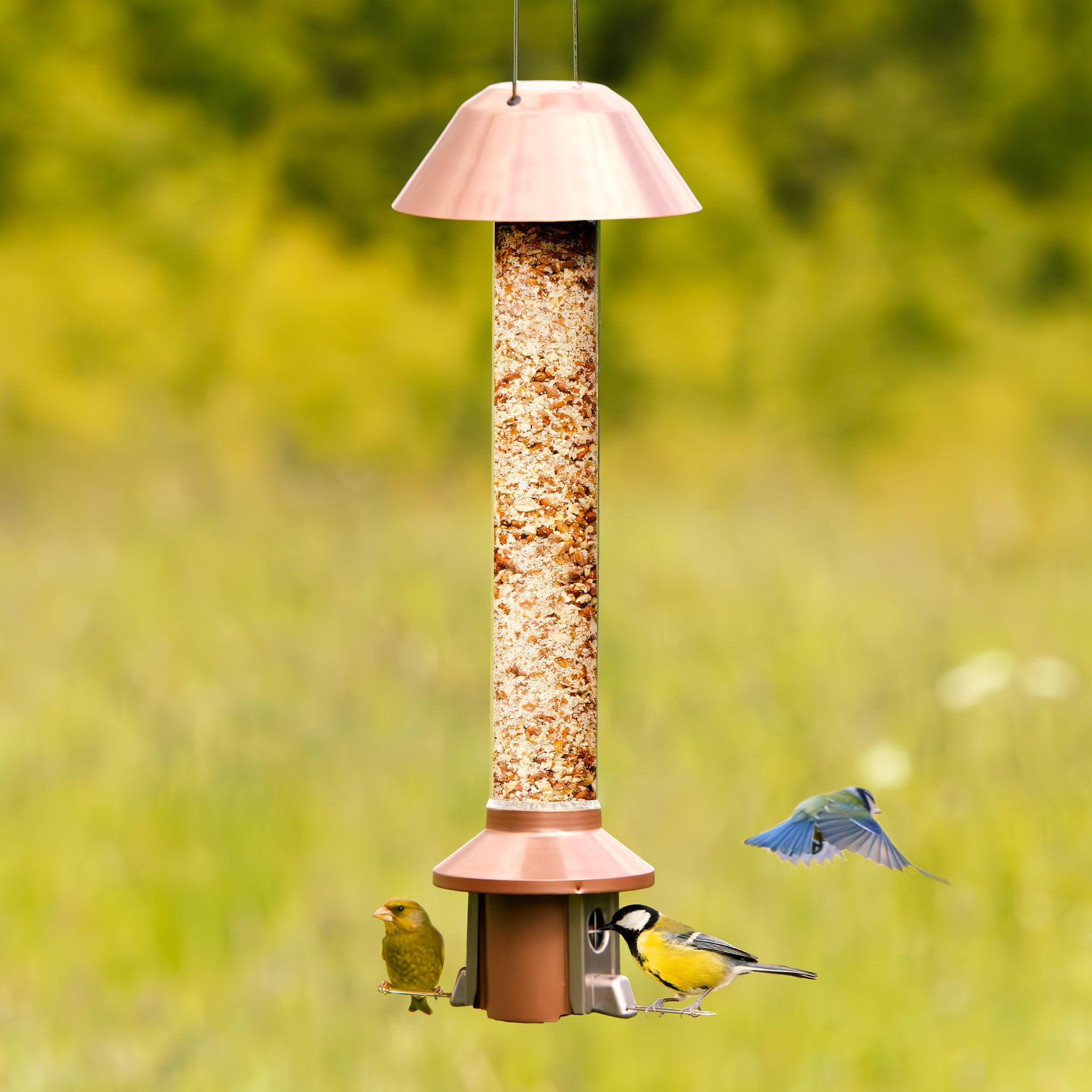 Roamwild PestOff Eichhörnchensicheres Vogelfutterhaus 2.0 