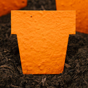 Roamwild Seeded Paper Shapes - Pack Of 50 (Orange Pot)