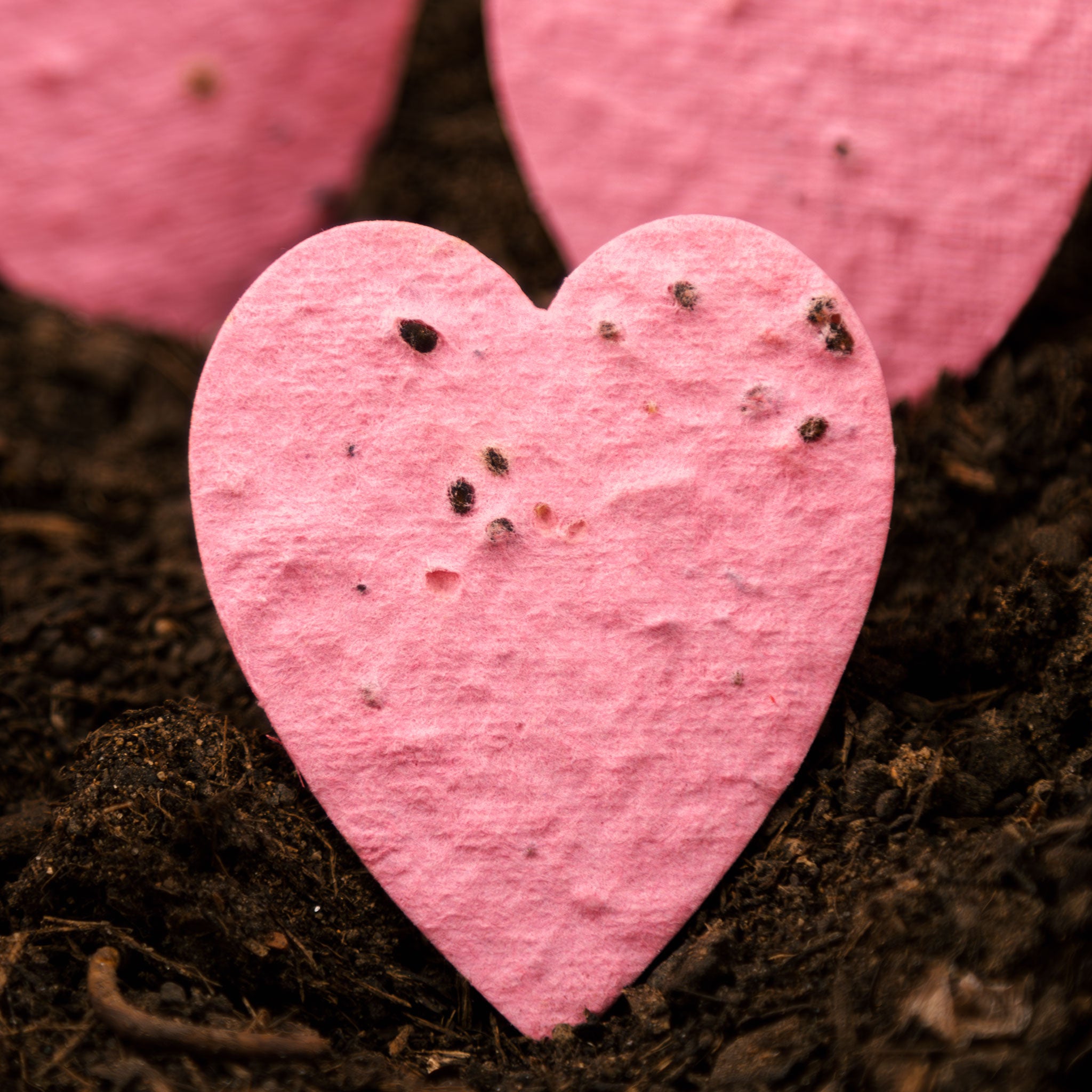 Roamwild Seeded Paper Shapes - Pack Of 50 (Pink Heart)