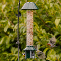 Peanut feeder