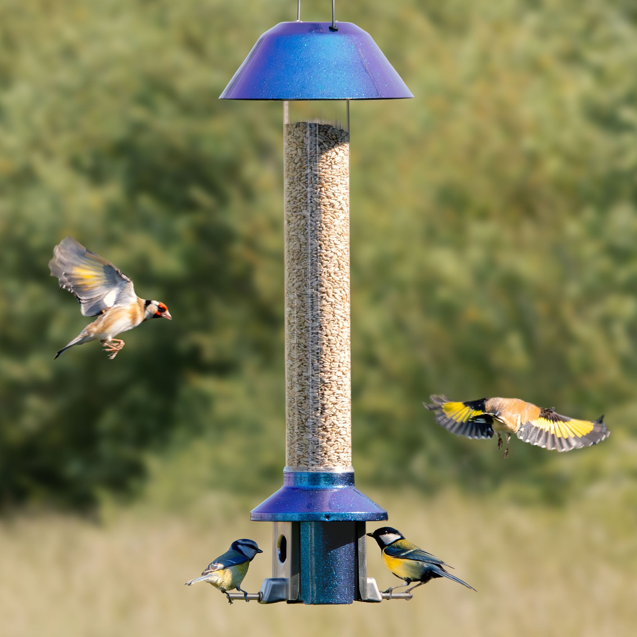 Roamwild PestOff Bird Feeder 3.0