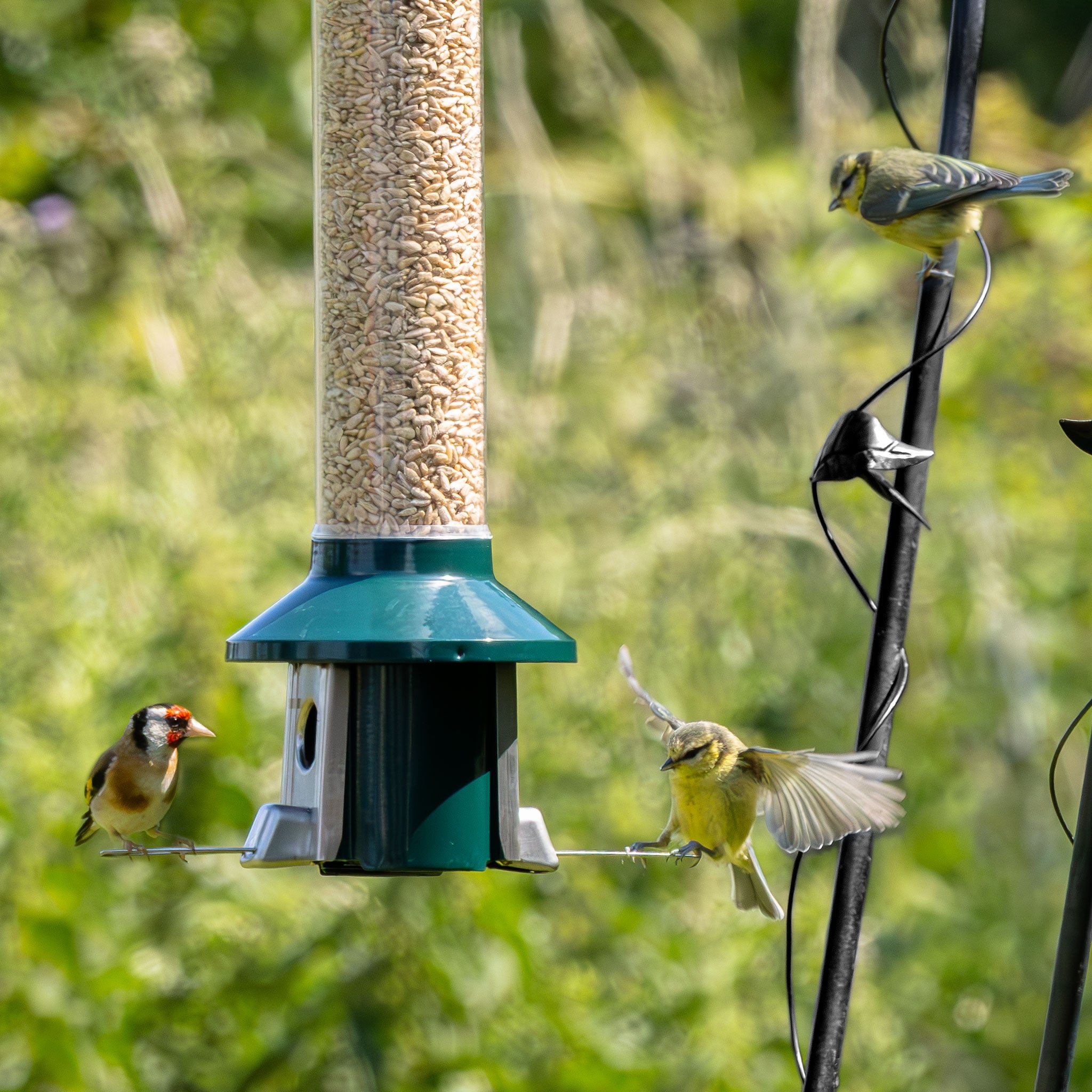 Roamwild PestOff Herzstation