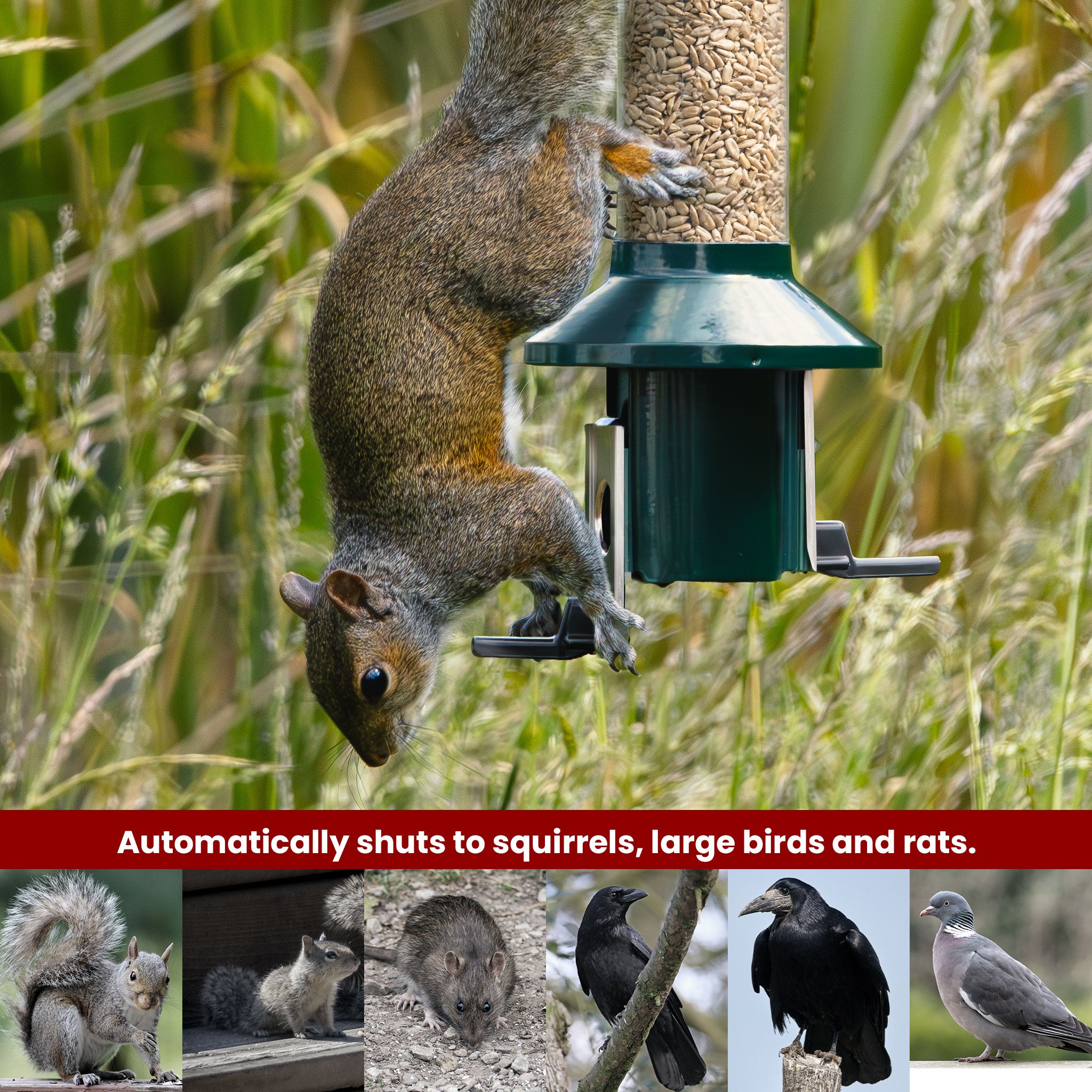 Roamwild PestOff Squirrel Proof Bird Feeder - Compact