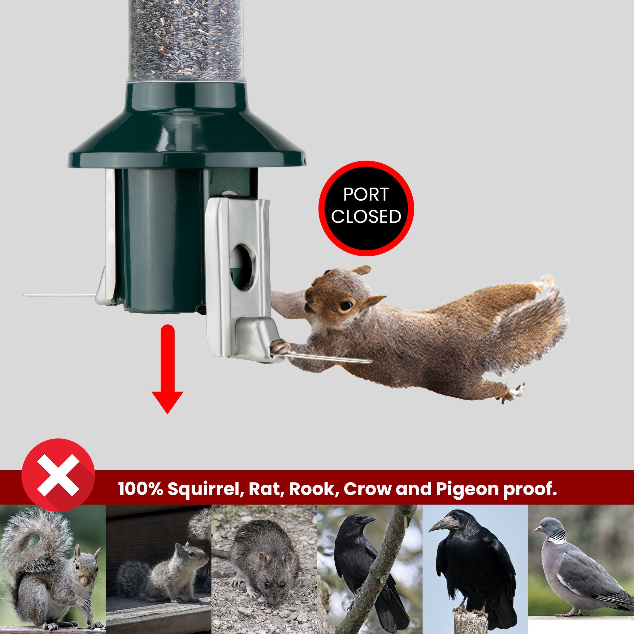 Roamwild PestOff Squirrel Proof Bird Feeder 2.0 For Nyjer/Thistle Seed