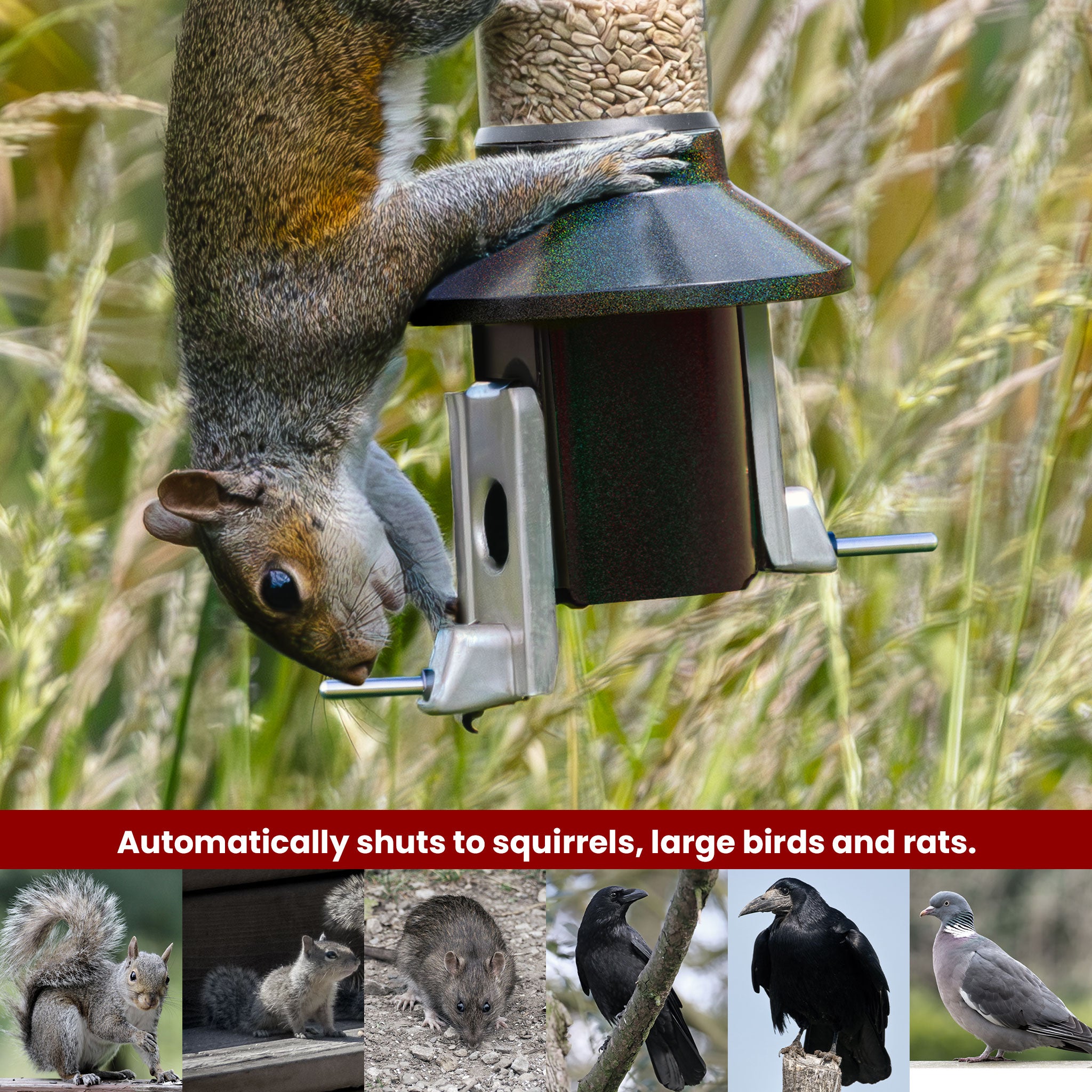 Roamwild Mega PestOff Squirrel Proof Bird Feeder 3.0 For Mixed Seed/Sunflower Hearts