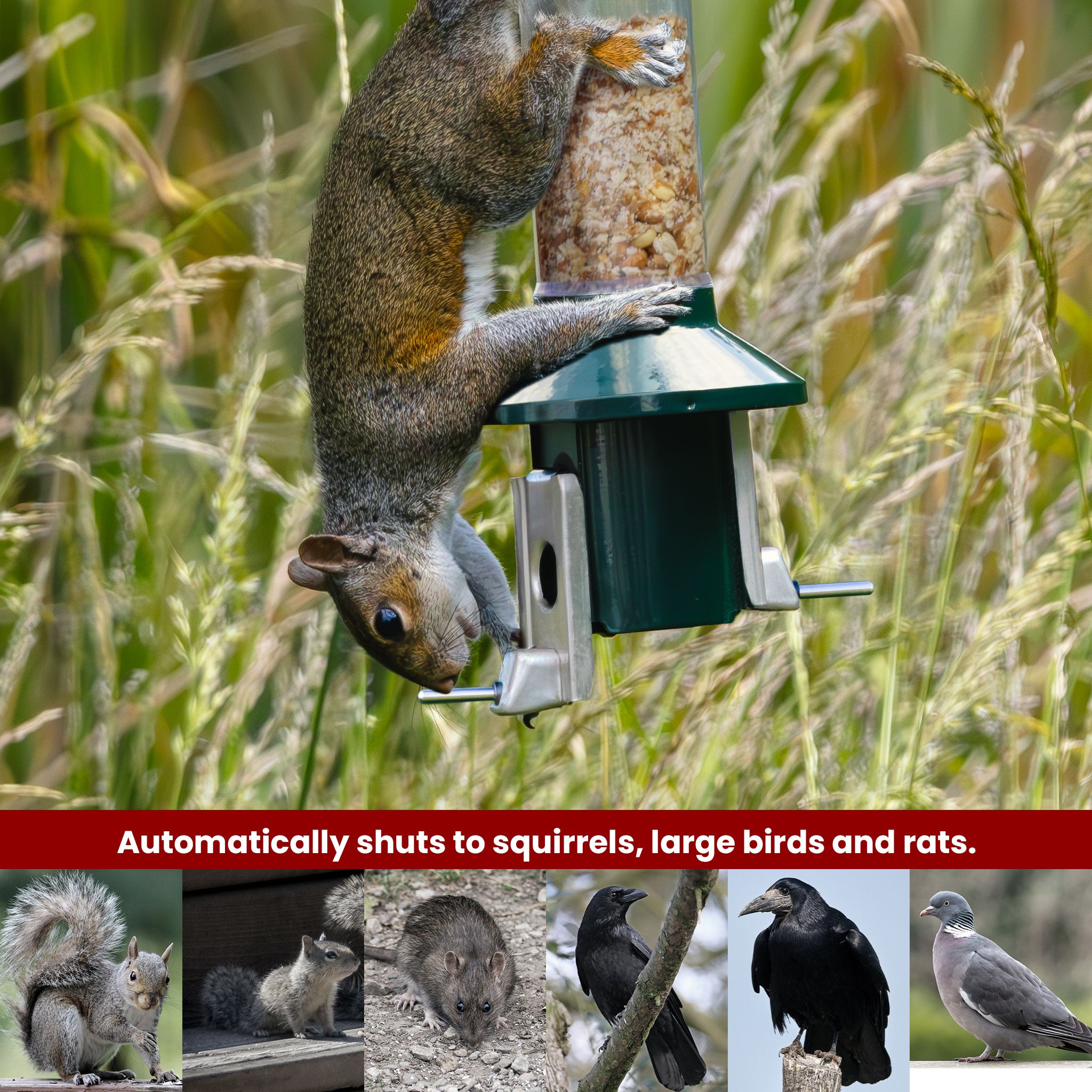 Roamwild PestOff Bird Feeder 3.0