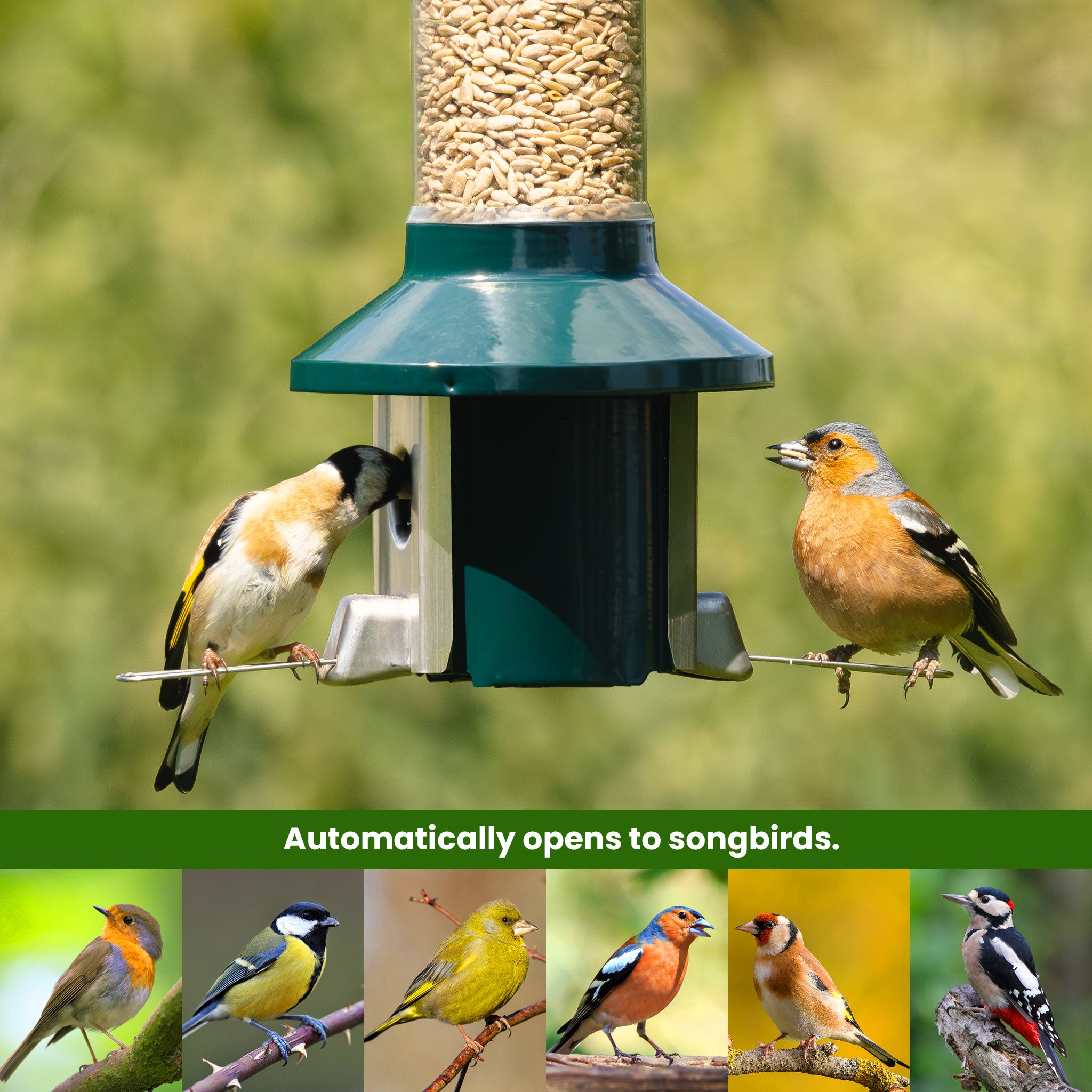 Roamwild PestOff Eichhörnchensicherer Vogelfutterspender 2.0 für gemischte Samen/Sonnenblumenherzen