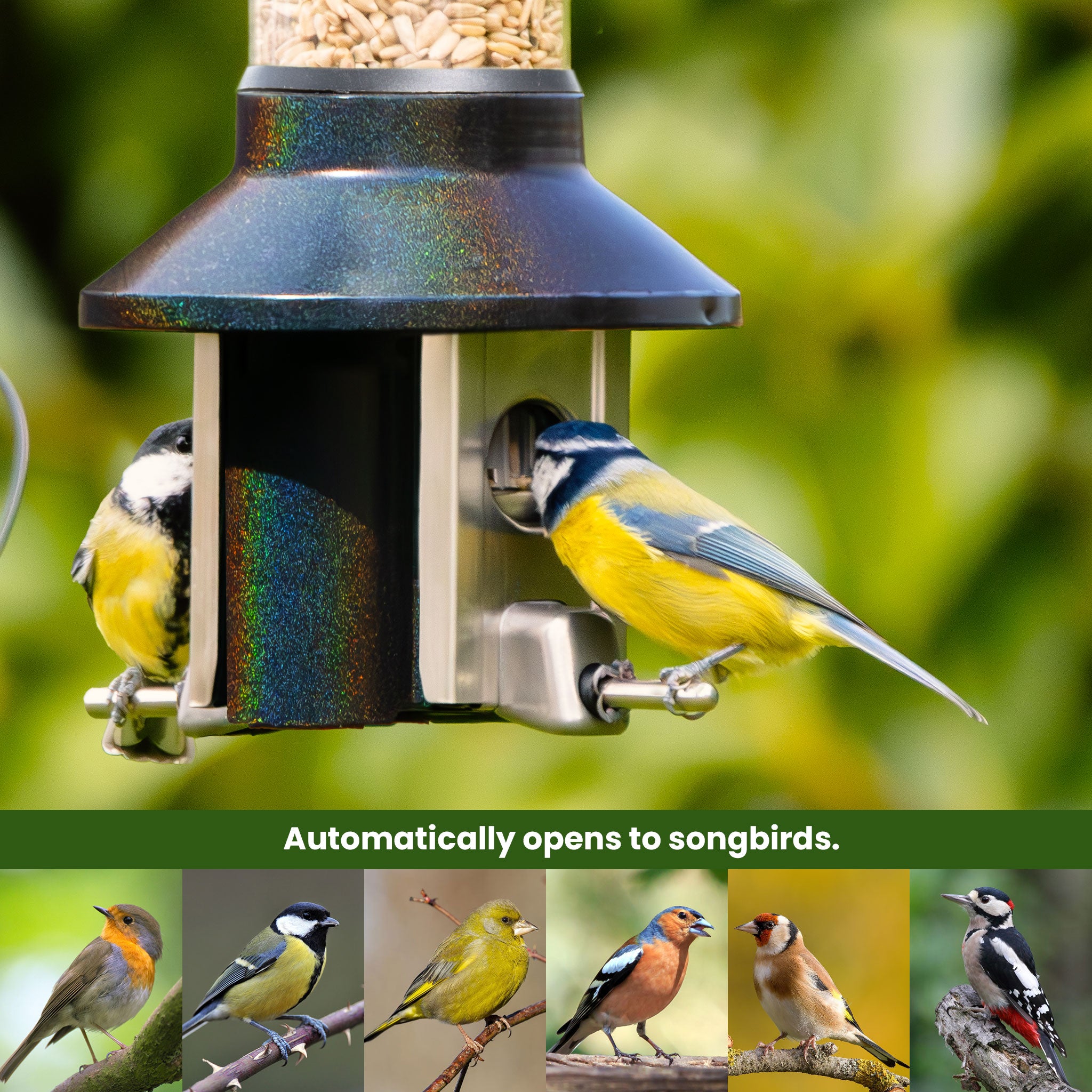 Roamwild Mega PestOff Squirrel Proof Bird Feeder 3.0 For Mixed Seed/Sunflower Hearts