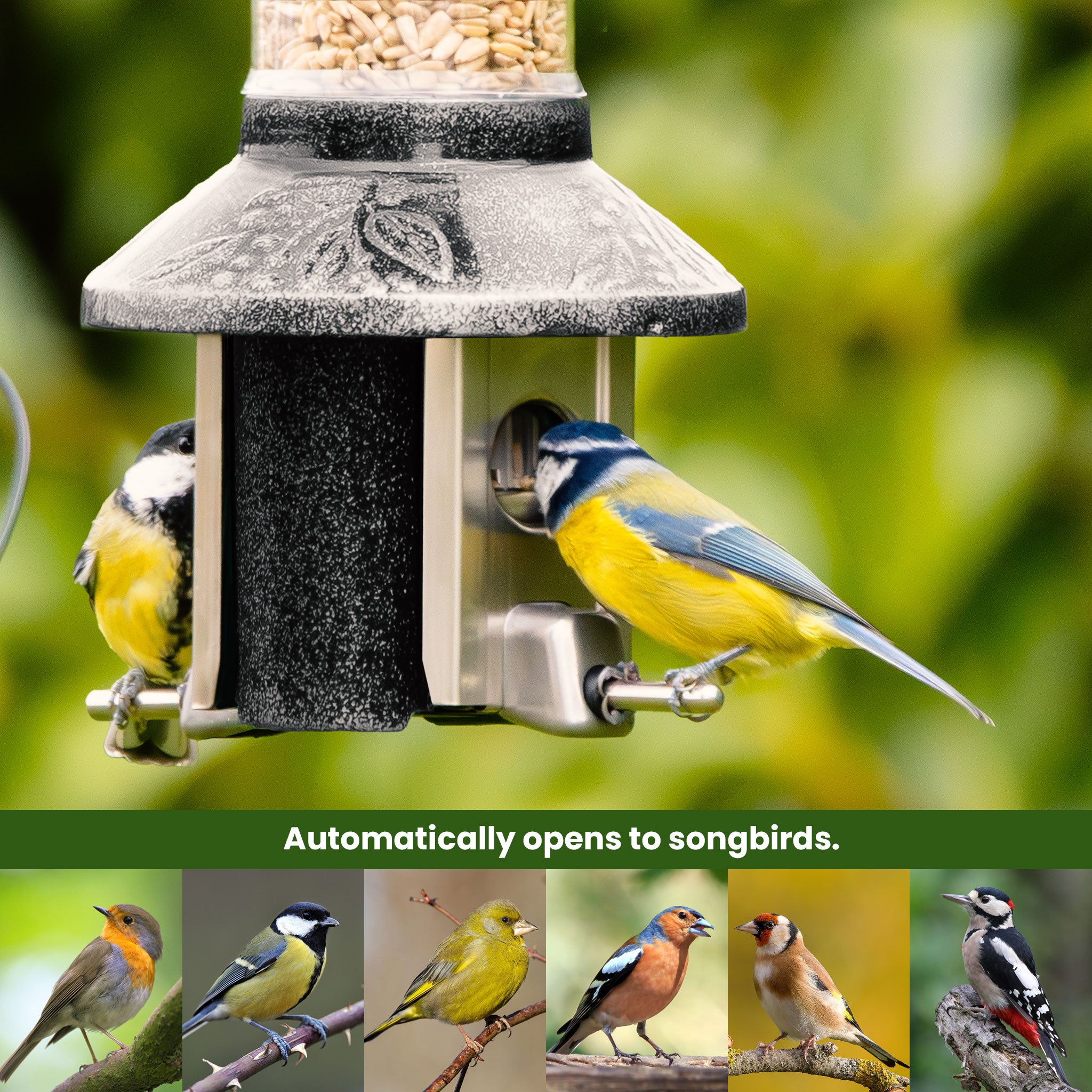 Roamwild PestOff Bird Feeder 3.0