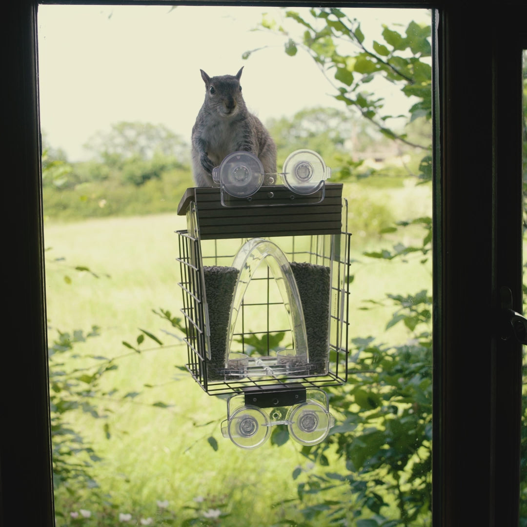 Load video: Roamwild Arch Window Bird Feeder