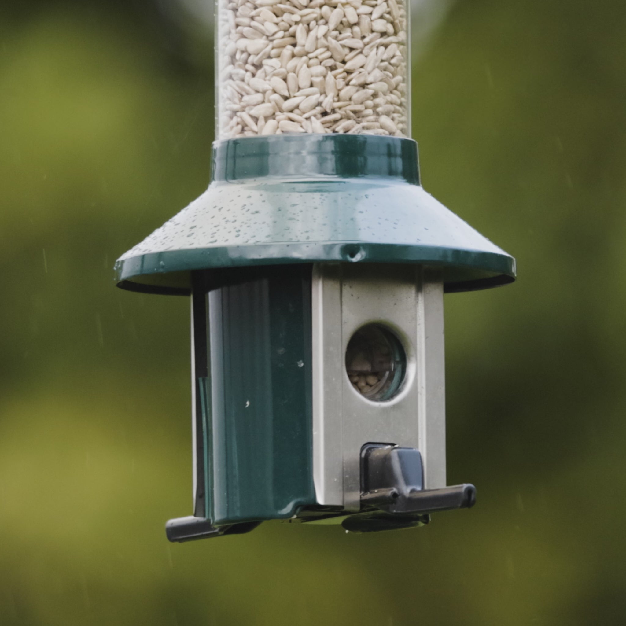 Load video: Roamwild PestOff Squirrel Proof Bird Feeder - Compact