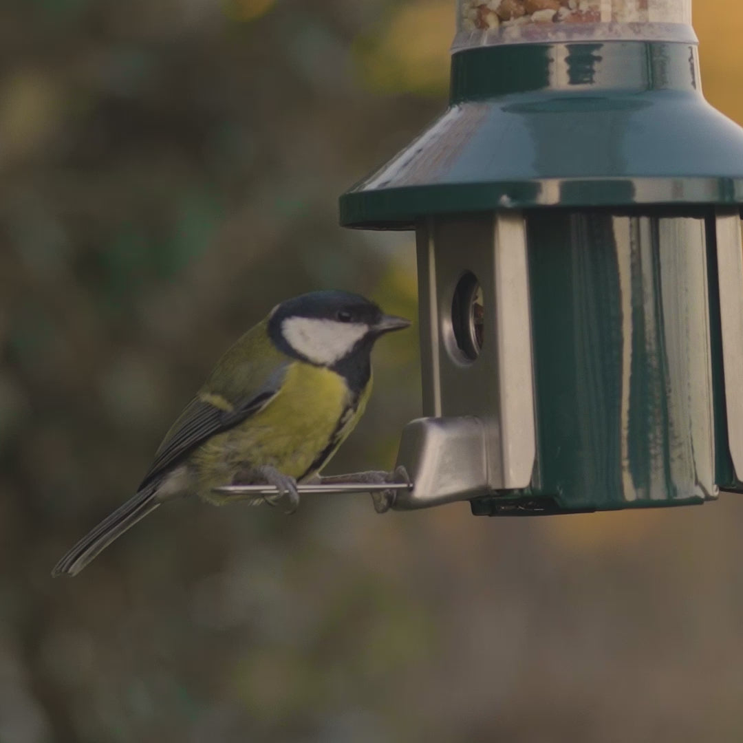 Sonnenblumenkerne Vogelfutter Roamwild PestOff 2.0 U2013 Wildvogelfutterspender 2 L, Schützt Vor Großen Vögeln & Futterdieben, Für Mischsaat & Geschälte Sonnenblumenkerne, Wetterfest & Rostfrei Eichhörnchen Futterhaus