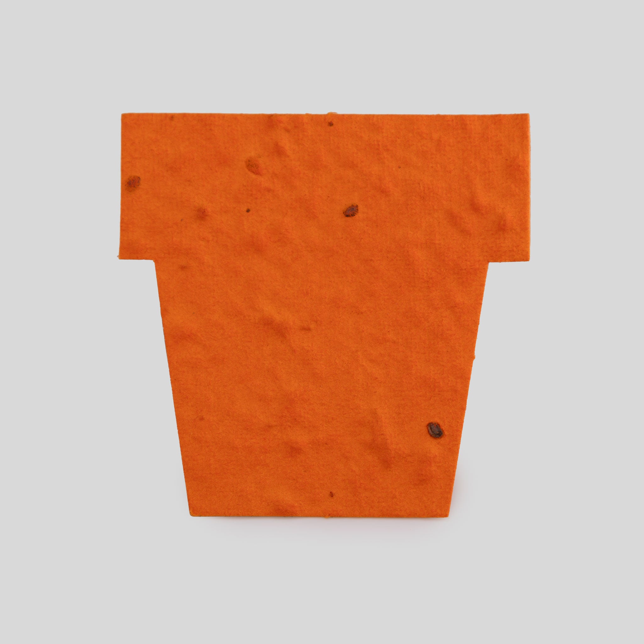 Roamwild Seeded Paper Shapes - Pack Of 50 (Orange Pot)