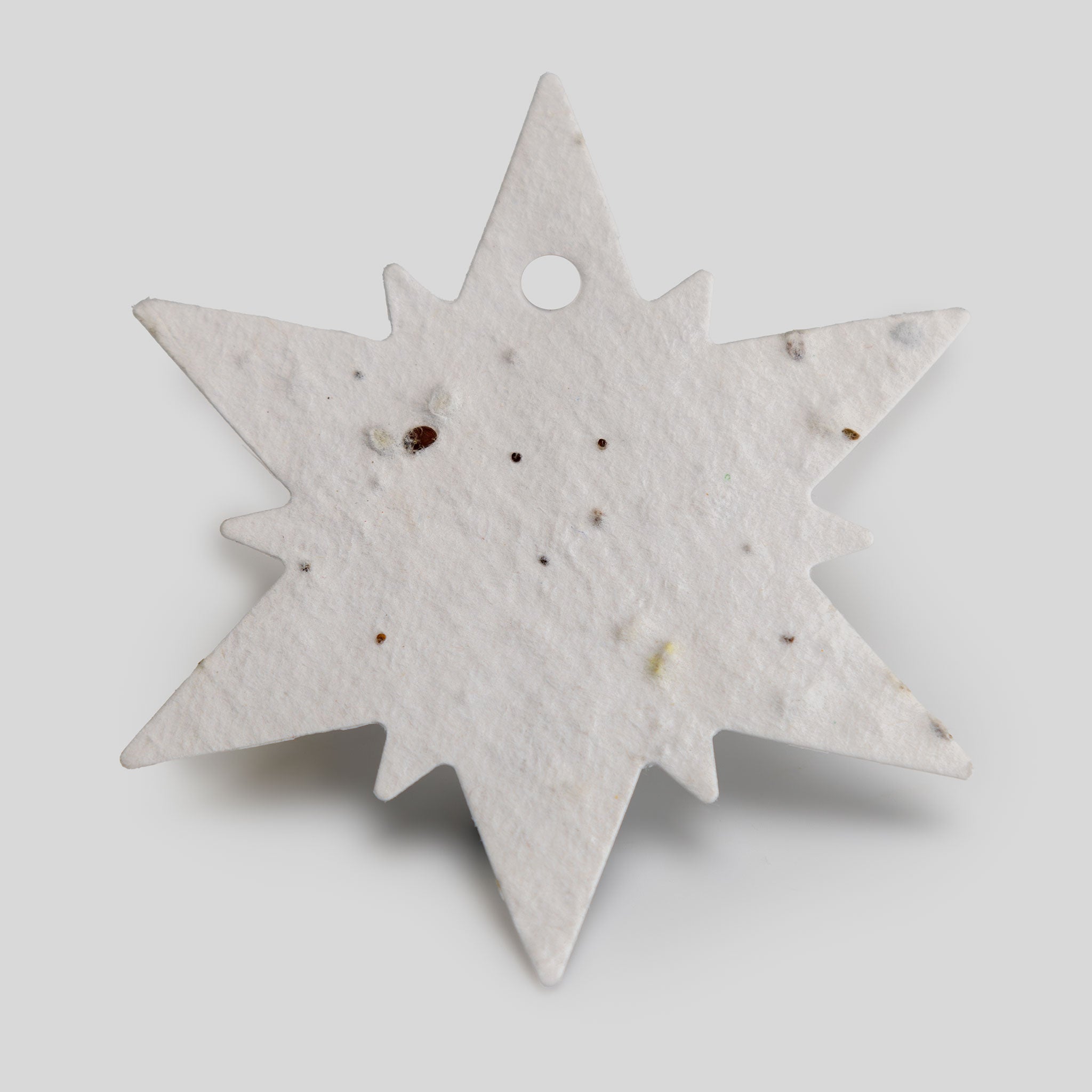 Roamwild Seeded Paper Shapes - (Snowflake)