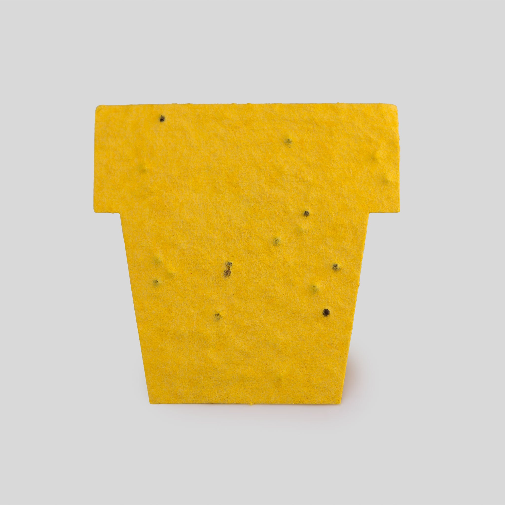 Roamwild Seeded Paper Shapes - Pack Of 50 (Yellow Pot)