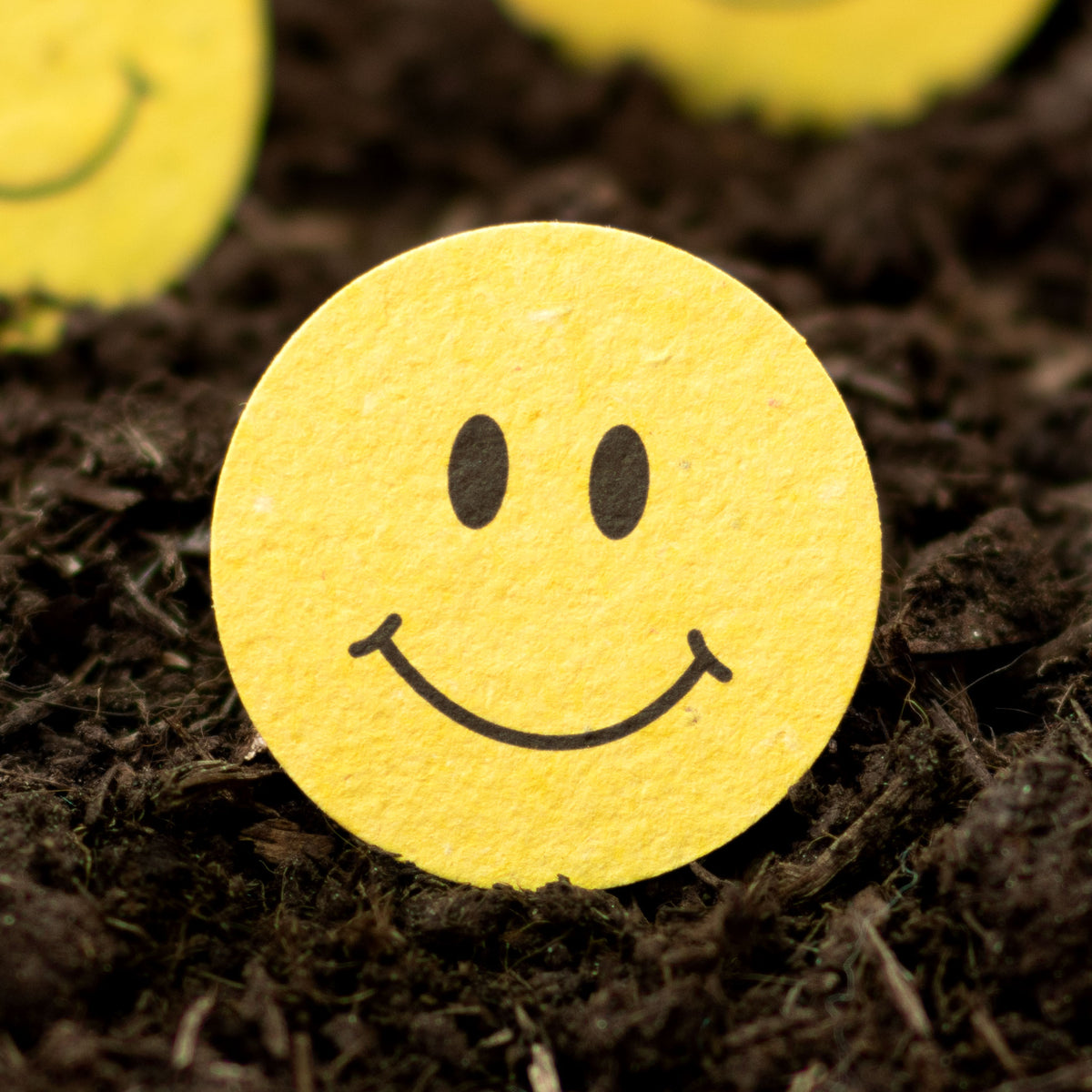 Smiley Paper. Fill Roamwild Seeded Paper Shapes - Pack Of 100 (Smiley Face)