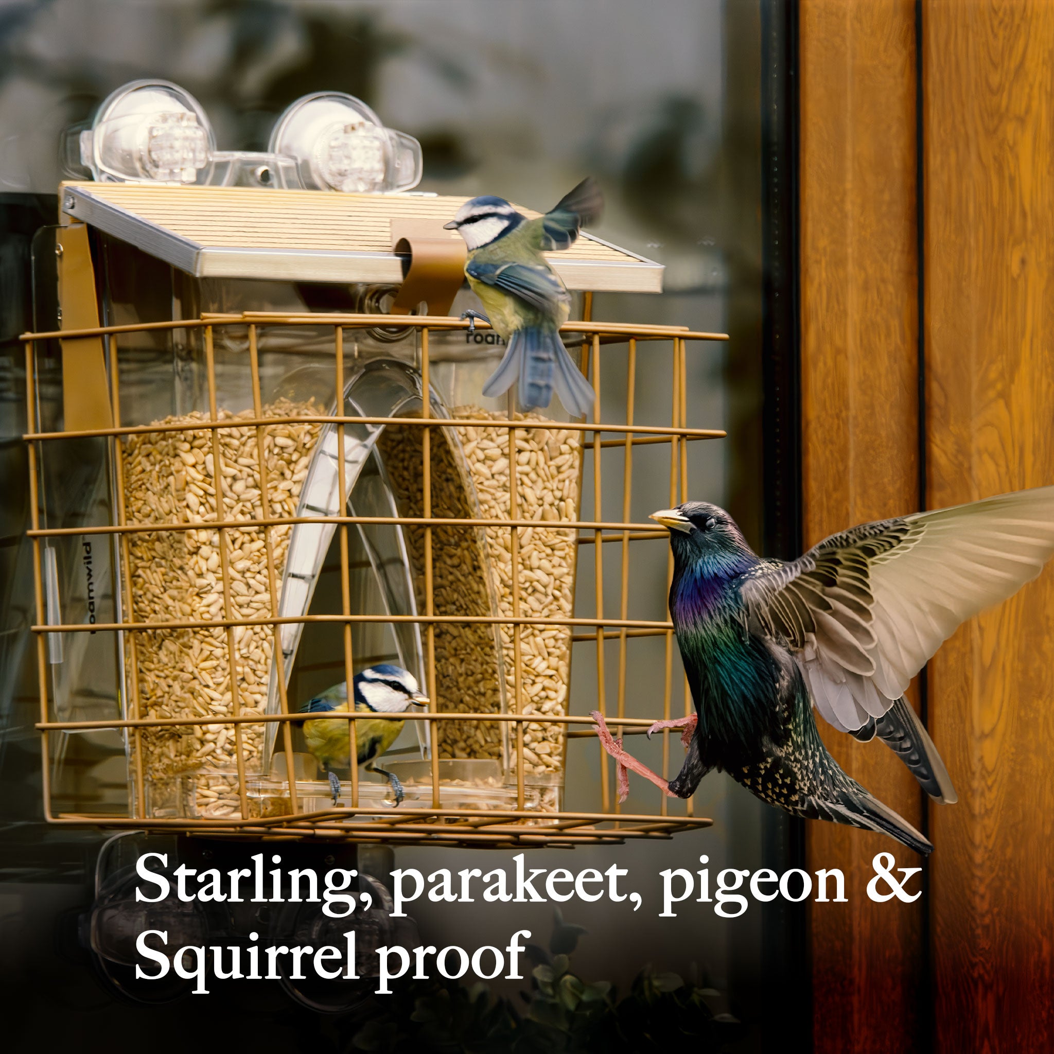 Roamwild Bogenfenster-Vogelfutterhaus