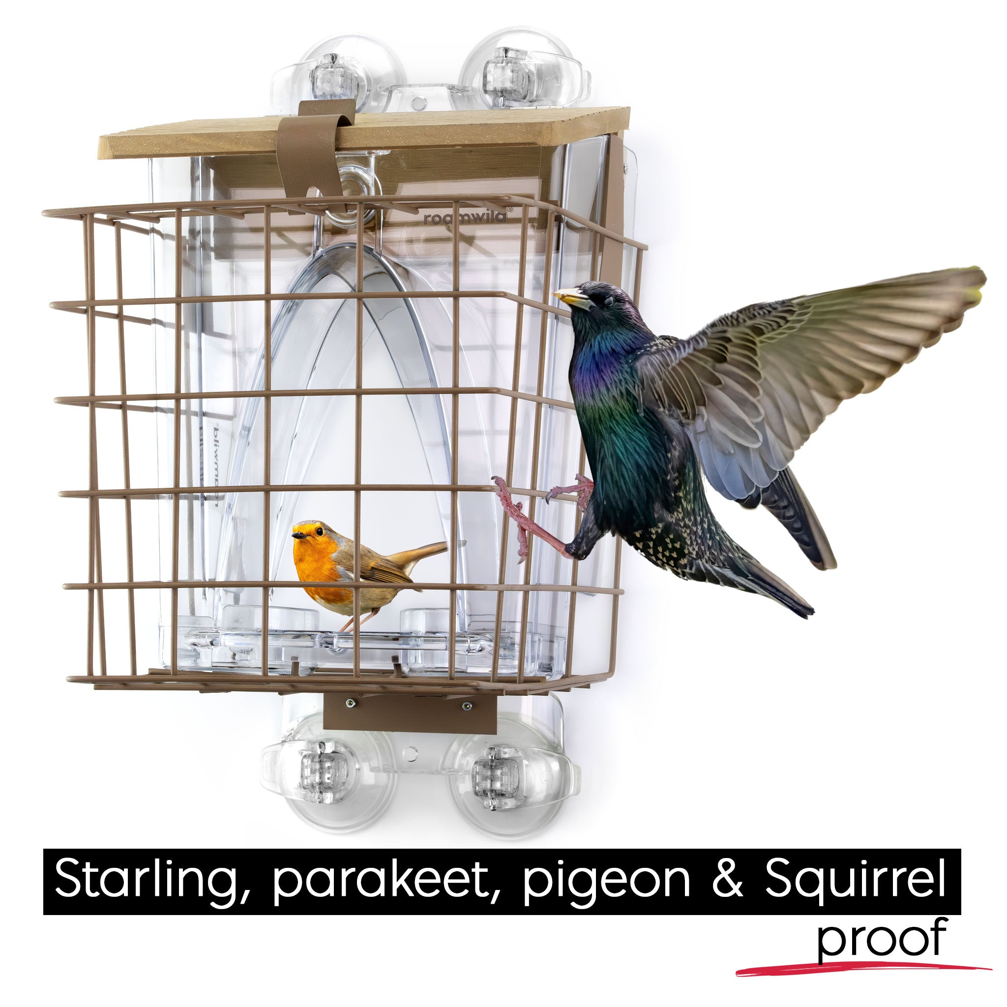 Arch Window Feeder: Squirrel Proof Cage Accessory