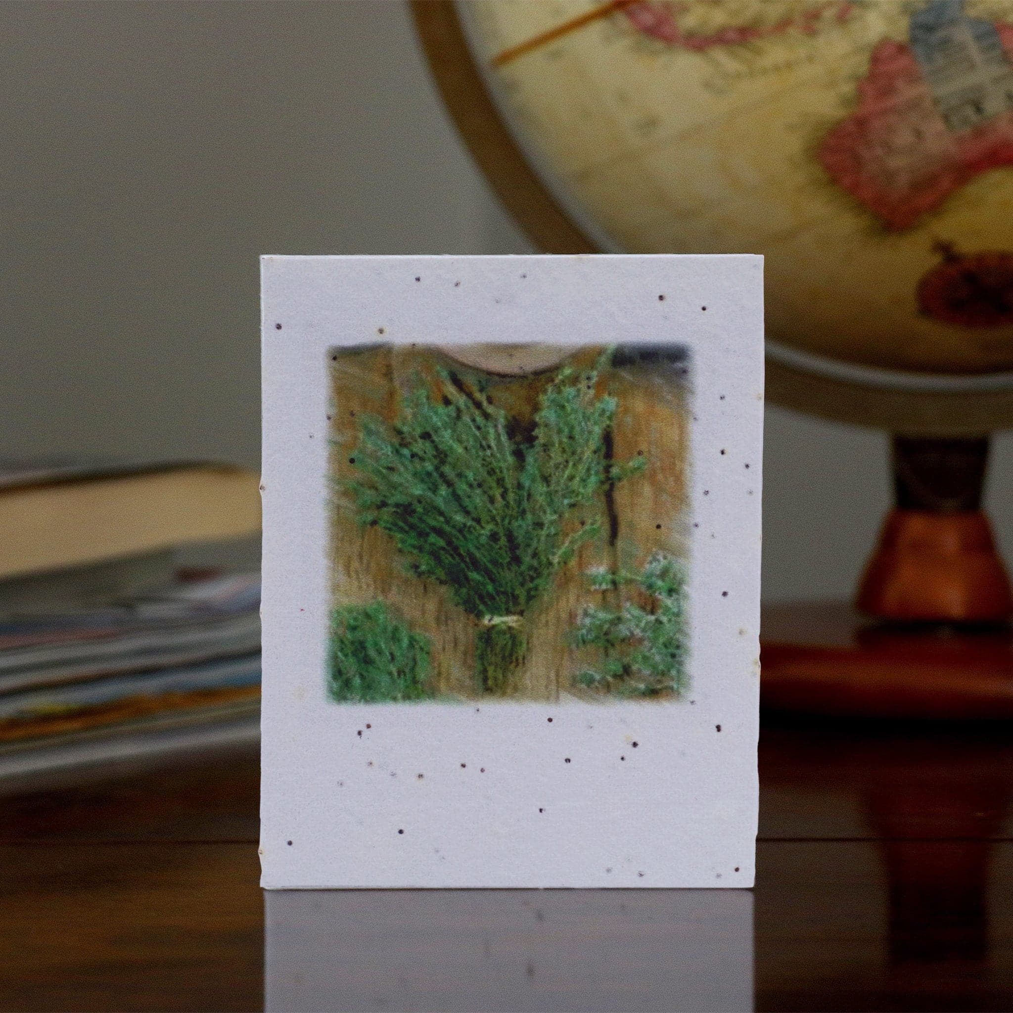 Plantable Seeded Greeting Card - With Herb Seed