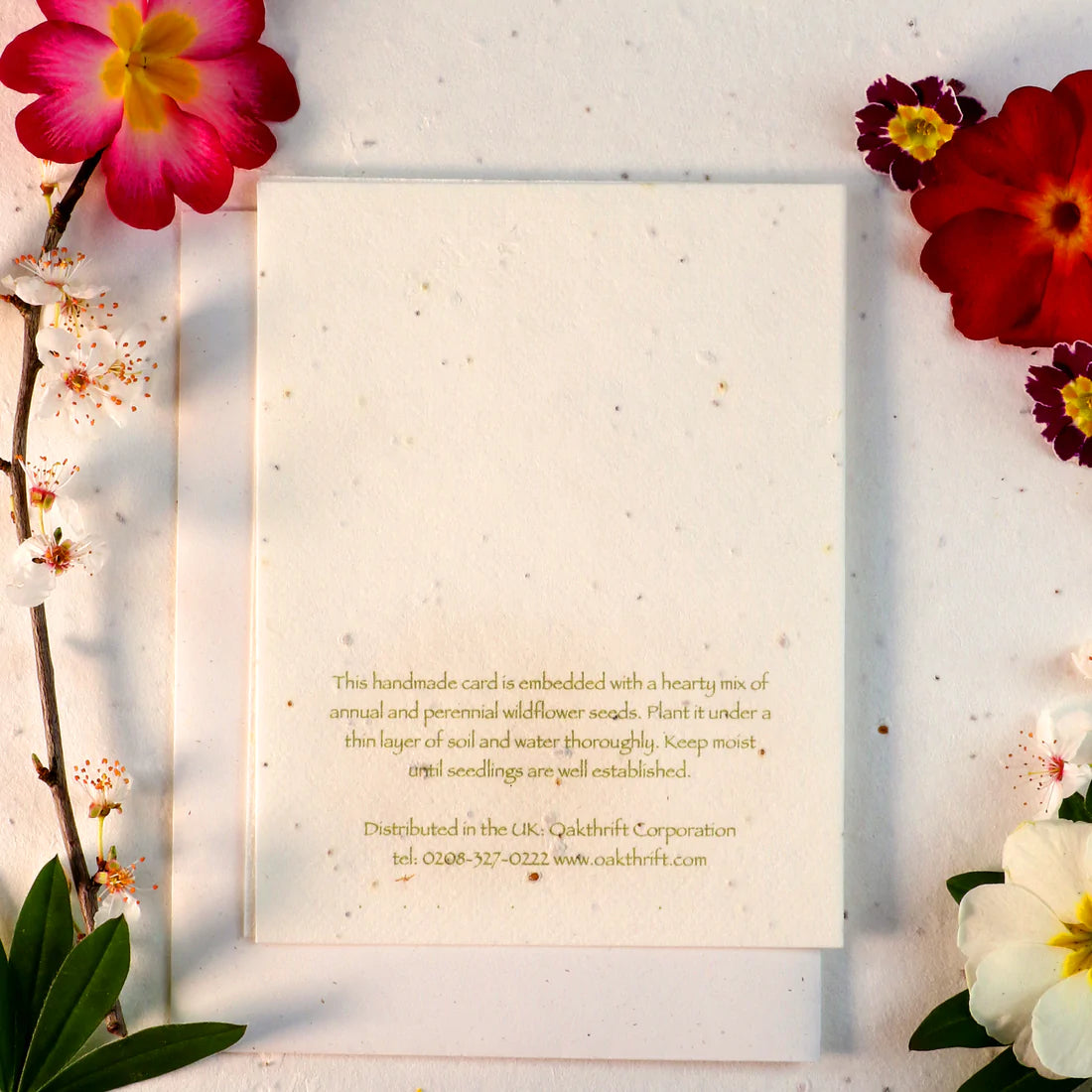 Seeded Cards That Grow Into Flowers (Topiary Tree)