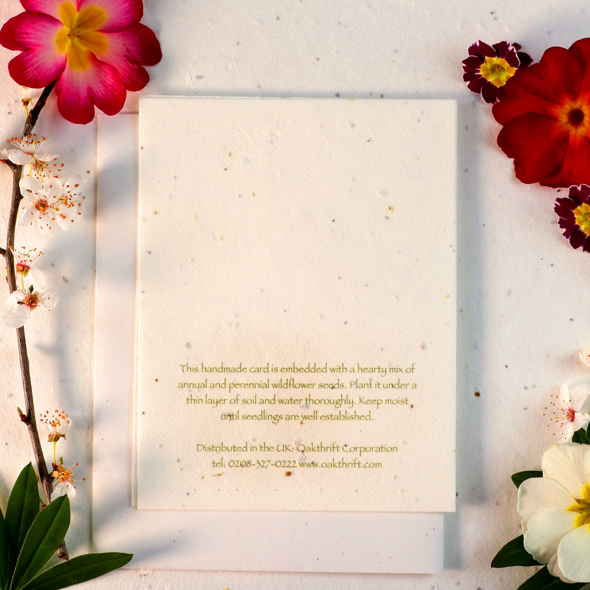 Seeded Cards That Grow Into Flowers (3 Pack)